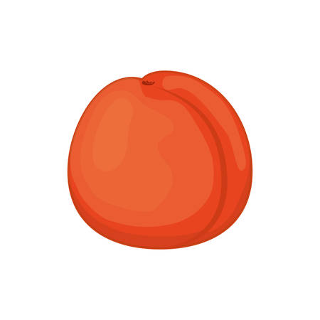 Peach delicious fruit icon vector illustration graphic designのイラスト素材