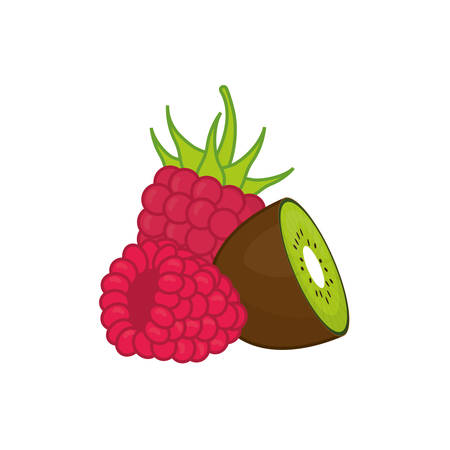 Kiwi and raspberry delicious fruits icon vector illustration graphic designのイラスト素材