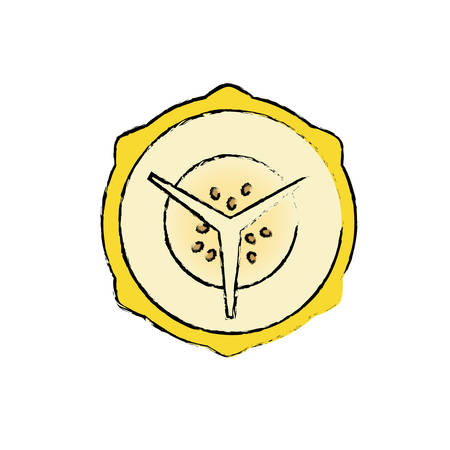 Pitaya delicious fruit icon vector illustration graphic designのイラスト素材
