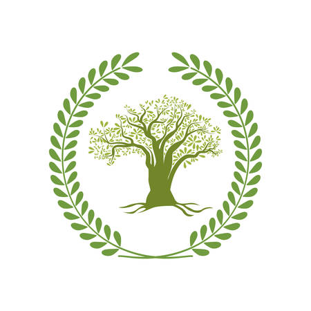 Olive oil healthy food icon vector illustration graphic designのイラスト素材