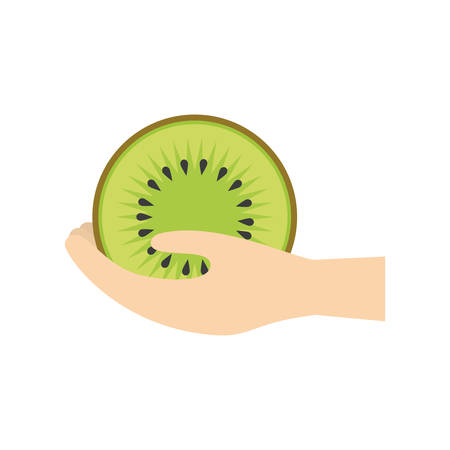 hand holding kiwi fruit vector illustration eps 10のイラスト素材