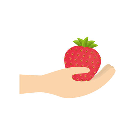hand holding strawberry fruit vector illustrationのイラスト素材