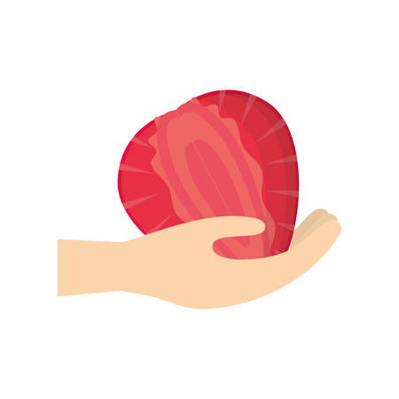 hand holding strawberry fruit vector illustration eps 10のイラスト素材