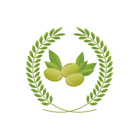 Olive oil healthy food icon vector illustration graphic designのイラスト素材