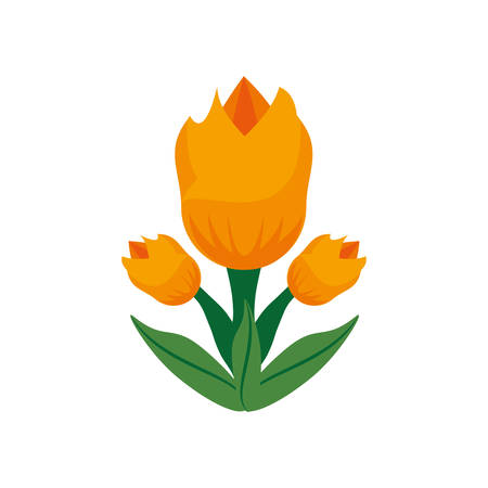tulip flower spring image vector illustration eps 10のイラスト素材