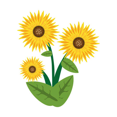 sunflower spring image icon vector illustration eps 10のイラスト素材
