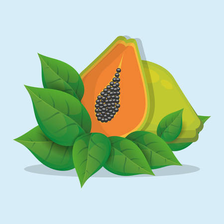 papaya with leaves natural vector illustraton eps 10のイラスト素材