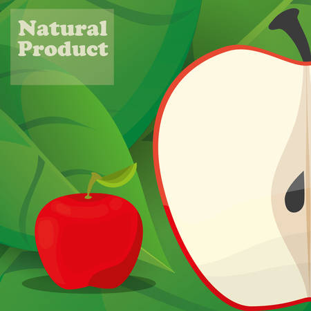 apple natural product poster design vector illustration eps 10のイラスト素材