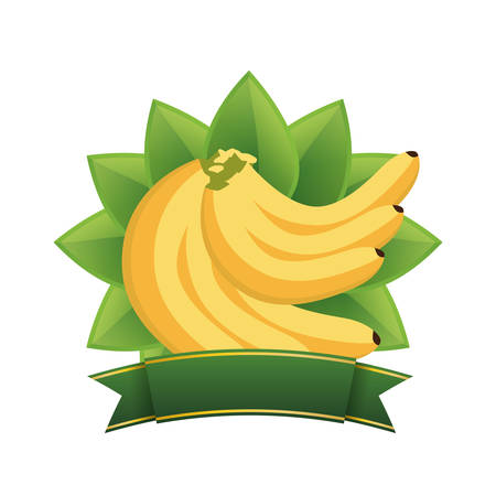 banana healthy food menu banner vector illustration eps 10のイラスト素材