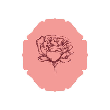 Beautiful flower ornament icon vector illustration graphic designのイラスト素材