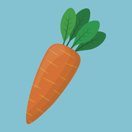 carrot vegetable icon over blue background. colorful design. vector illustrationのイラスト素材