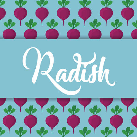 radish vegetale concept. colorful design. vector illustrationのイラスト素材