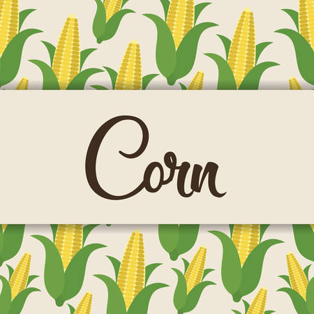 corn  vegetale concept. colorful design. vector illustrationのイラスト素材