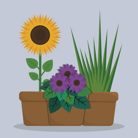 sunflowers in a pot. colorful design. vector illustrationのイラスト素材