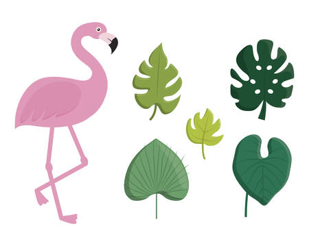 tropical leaves and flamingo icon over white background. colorful design. vector illustrationのイラスト素材