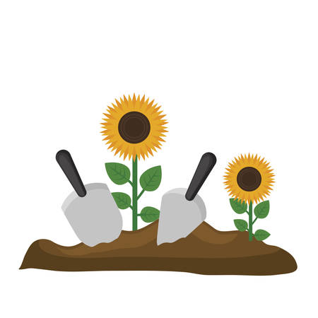 beautiful flowers growing in the soil over white background. colorful design. vector illustrationのイラスト素材