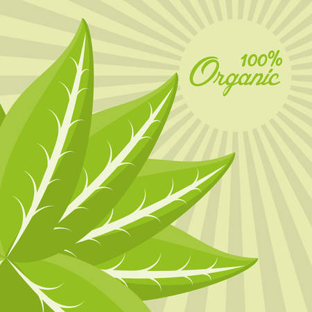 organic food cooking nature image vector illustration eps 10のイラスト素材