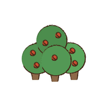 tree plant fruit nature vector illustration eps 10のイラスト素材
