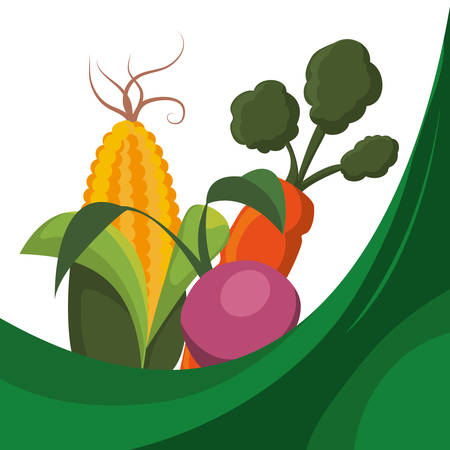 fresh vegetables raw food vector illustration eps 10のイラスト素材