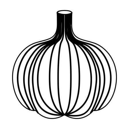 Garlic head vegetable icon over white background.のイラスト素材