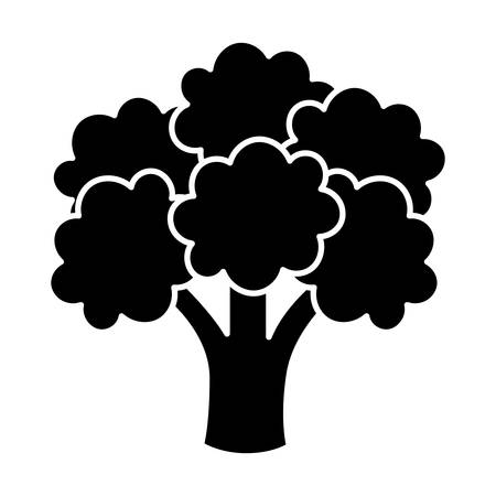 Broccoli vegetable icon over white background. vector illustrationのイラスト素材
