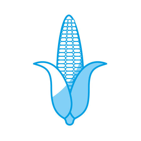 Corn vegetable icon over white background.のイラスト素材