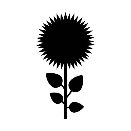 beautiful flower icon over white background. vector illustrationのイラスト素材