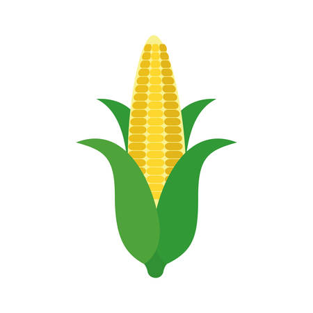 corn vegetable icon over white background. colorful design. vector illustrationのイラスト素材
