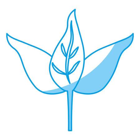 leaves icon over white background. vector illustrationのイラスト素材