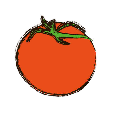 Tomato vegetable icon over white background. vector illustrationのイラスト素材