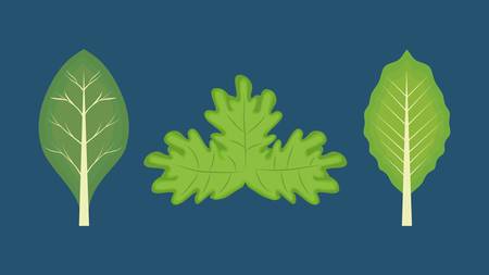 green vegetables over blue background. colorful design. vector illustrationのイラスト素材