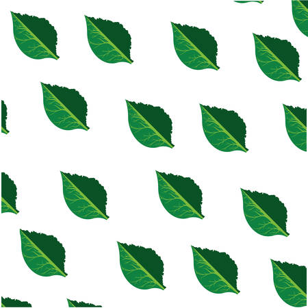 Leaf ecology symbol icon vector illustration graphic designのイラスト素材