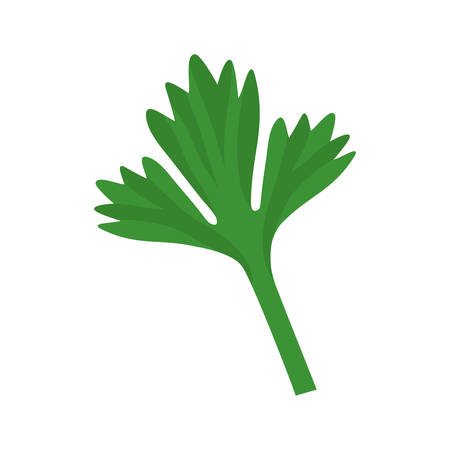 green leaf icon over white background. vector illustrationのイラスト素材