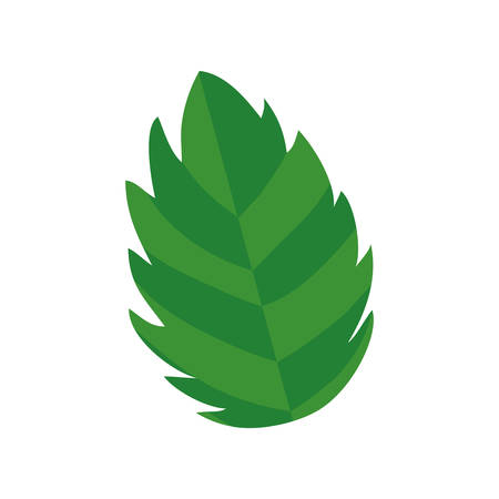 green leaf icon over white background. vector illustrationのイラスト素材
