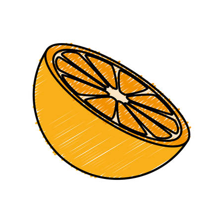orange slice fruit icon over white background. vector illustrationのイラスト素材
