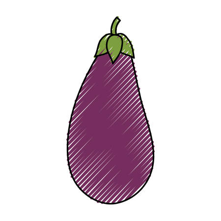 Eggplant delicious vegetable icon vector illustration graphic designのイラスト素材