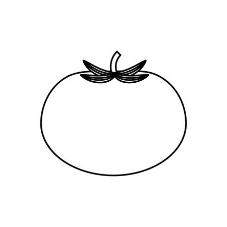 Fresh tomato vegetable icon vector illustration graphic designのイラスト素材