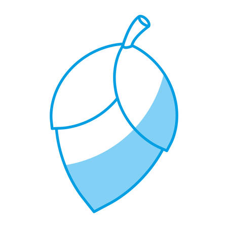 acorn icon over white background. vector illustrationのイラスト素材