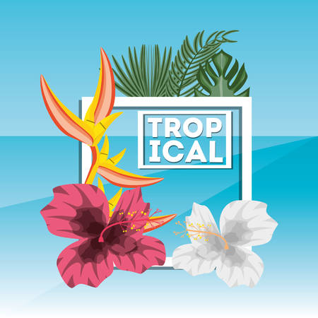 tropical concept with beautiful and colorful flowers, vector illustrationのイラスト素材