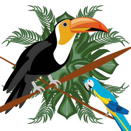 beautiful toucan and guacamaya over tropical palms, vector illustrationのイラスト素材