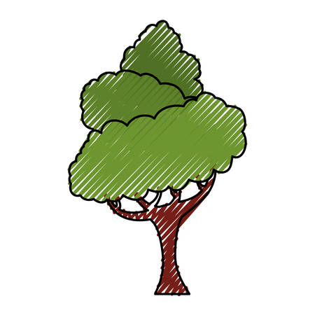 Beautiful tree isolated icon vector illustration graphic designのイラスト素材