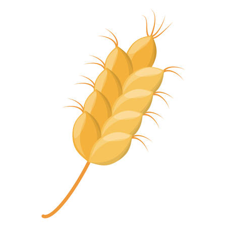A wheat cereal barley vector illustration graphic design icon.のイラスト素材