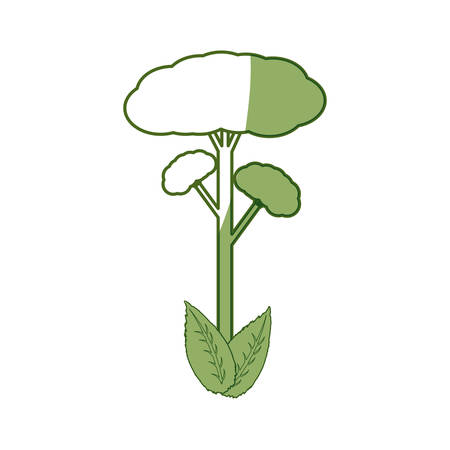 isolated big tree icon vector illustration graphic designのイラスト素材
