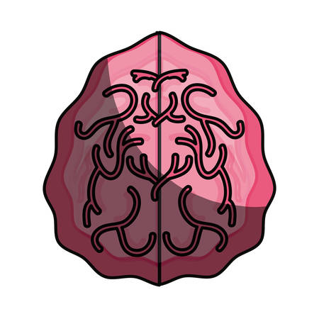 Human brain isolated icon vector illustration graphic designのイラスト素材
