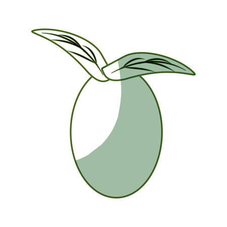 isolated leaves tomato fruit icon vector illustration graphic designのイラスト素材
