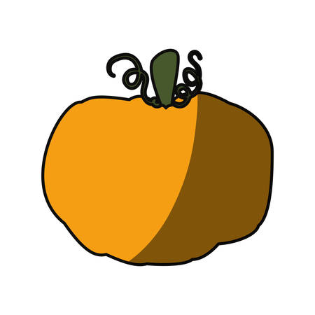 fresh pumpkin vegetable icon vector illustration graphic designのイラスト素材