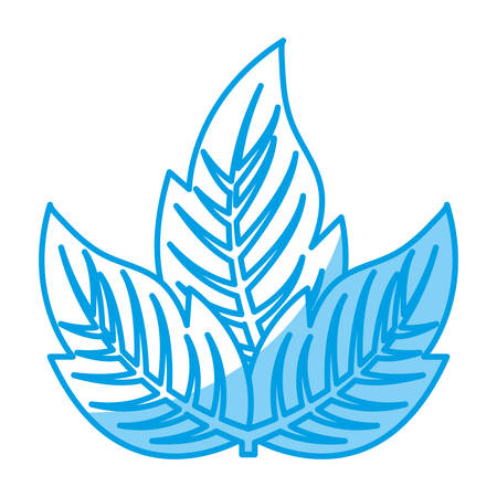 leaves icon over white background vector illustrationのイラスト素材