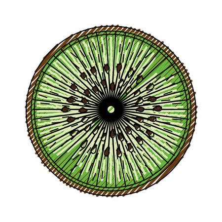 Sliced kiwi fruit icon vector illustration graphic designのイラスト素材