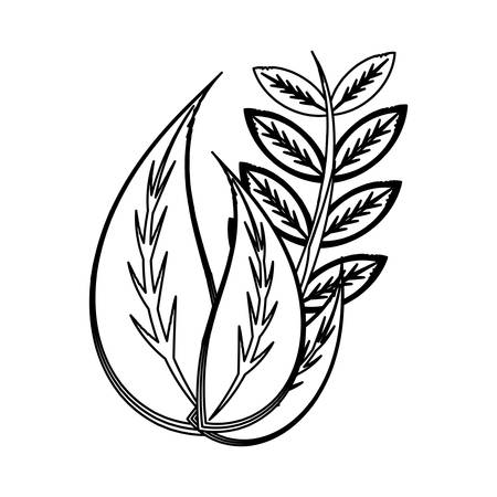 Leaves ecology symbol over white background icon vector illustrationのイラスト素材