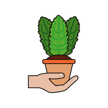 Plant in pot icon vector illustration graphic designのイラスト素材